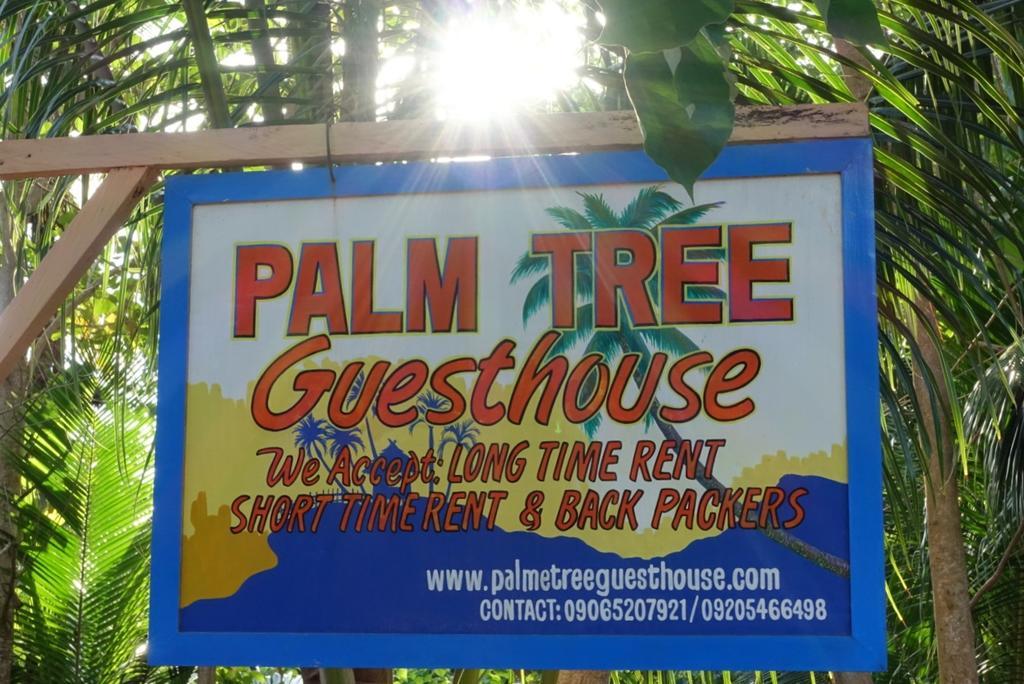 Palm Tree Guesthouse Siquijor Εξωτερικό φωτογραφία